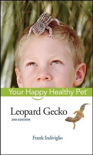 Frank indiviglio leopard gecko - frank,