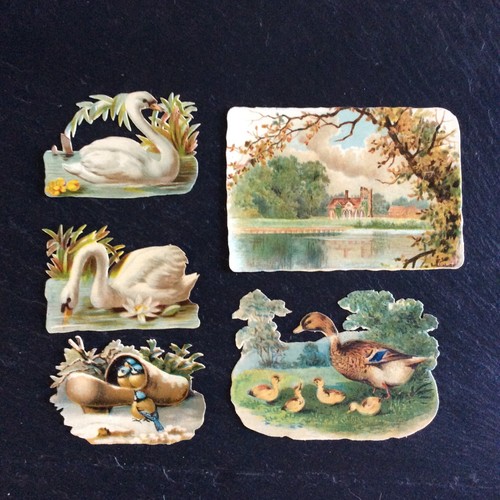 Anciens chromos lot - lot, 5