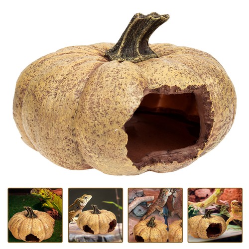 Fournitures pour reptiles - pour,