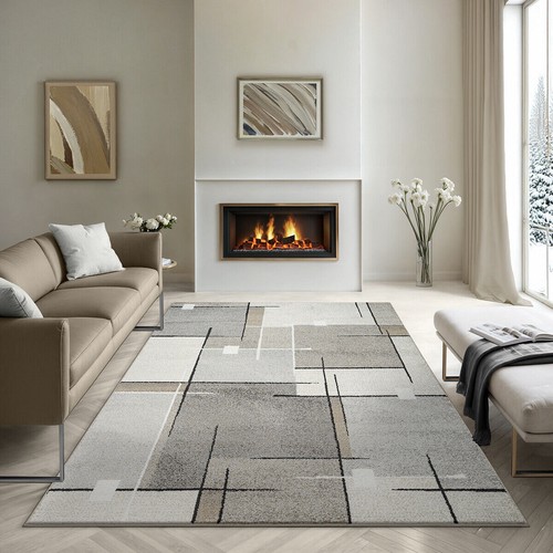Tapis salon poils courts - poils,