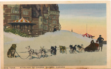 DOG TEAM. ATTELAGE DE CHIENS, QUEBEC, CANADA. PULLING SLED. HOTEL? IN BACK.