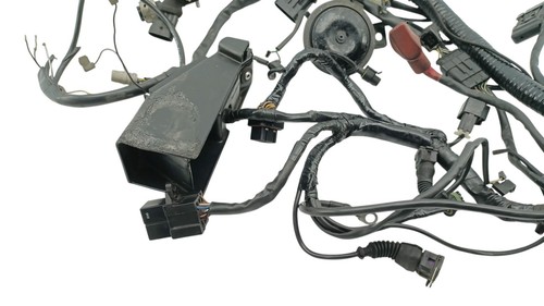 Faisceau électrique ducati - électrique,