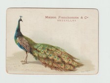 Chromo No. 7092. HELENA MAGUIRE . bird. PAON