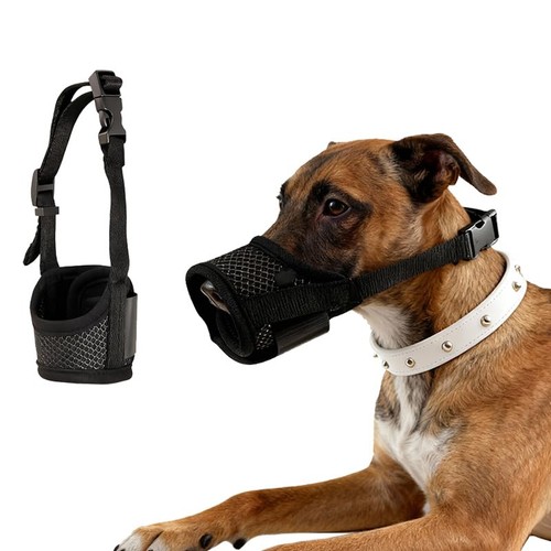 Museliere pour chiens - pour,