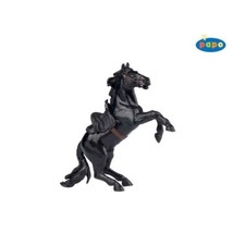 30253 Tornade Cheval de Zorro