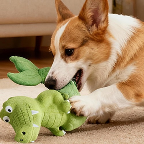 Jouet pour chien mâcher - jouet,