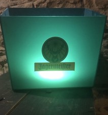 Grand Bac à Glaçons Lumineux