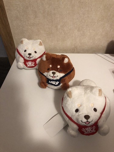 Mochishiba shiba inu round - mochishiba,