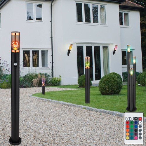 Globo lampe sur - lampe, plante