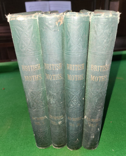 1872 natural history - natural,