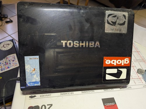 Toshiba satellite a210 - satellite, a210-1bi