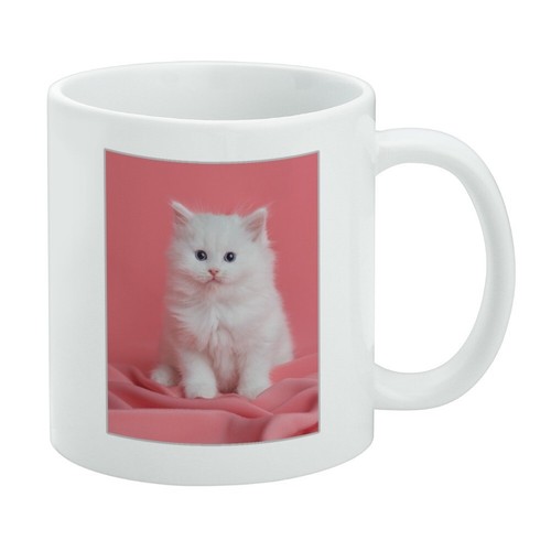 Persian cat white kitten - persian, on