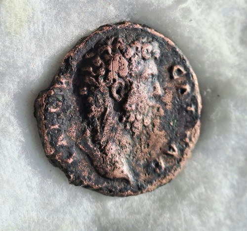 Aelius tr pot - aelius,