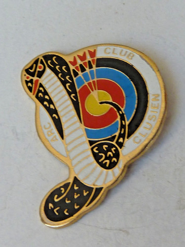 Pin pins badge tir - pin's, a