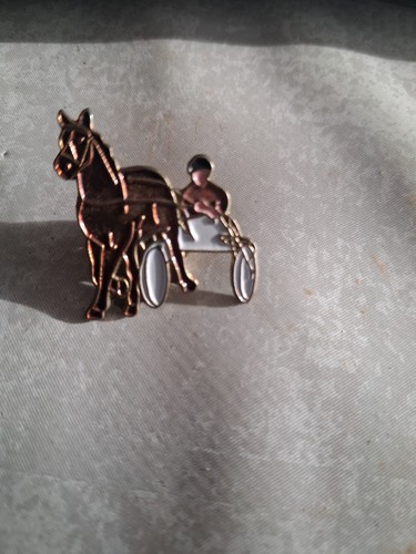 Pin cheval sulky - cheval, pmu