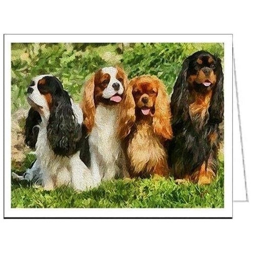 King charles spaniel - charles,