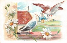 Fantaisie - Pigeons sur un mur et pigeon volant tenant un panier de fleurs