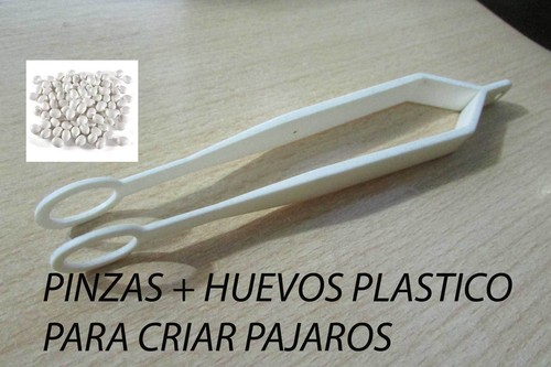 Oeufs faux plastique - faux,