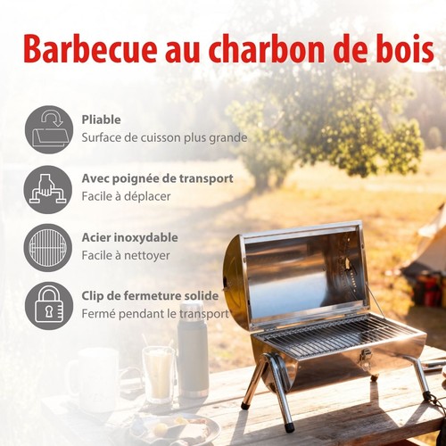 Alpina barbecue charbon - alpina,