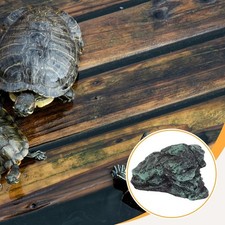 Reptile Se prélassant  Grotte