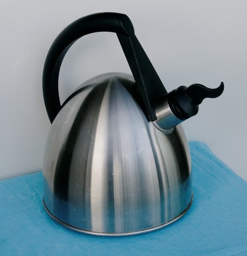 Bouilloire sifflante guy - bouilloire,