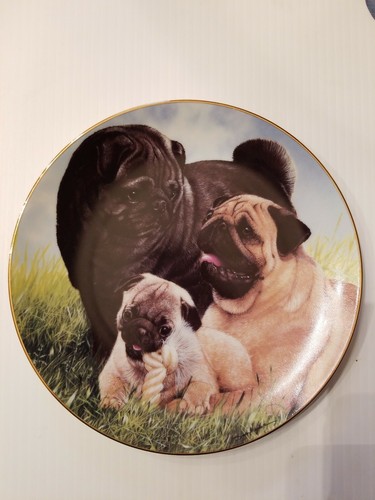 Danbury mint proud pugs - danbury, pugs”