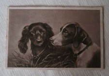 DOGS CHIEN VINTAGE POSTCARD~JACK RUSSELL BLK TERRIER DOG Signed Carl Reichert 