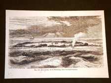 Coral Islands Witsunday Island in Pomotou Archipelago