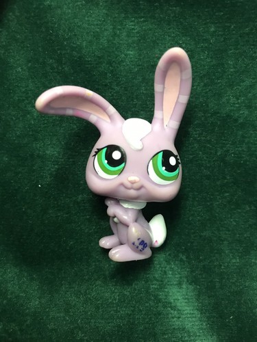 Petshop lapin garenne - 🌺,
