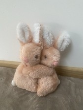 Couple de lapin entrelacé