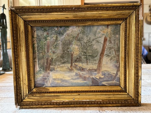 Superbe paysage alyscamps - superbe,
