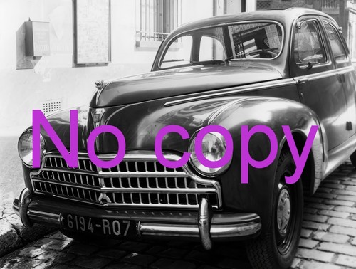 Peugeot 203 accessory grille - accessory,