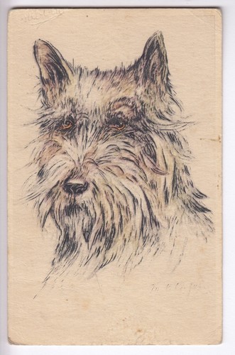 Cpa animal fantaisie chien - ,