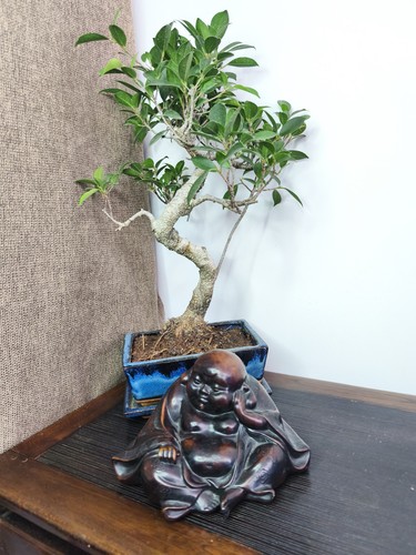 Bouddha érotique asiatique - , en