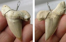 #17 African 100% Natural