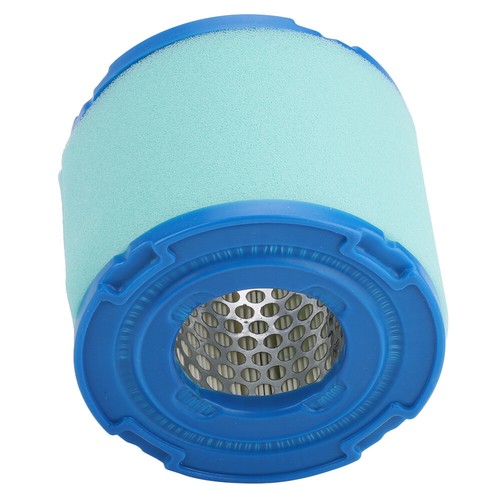 Air filter pour briggs - filter,