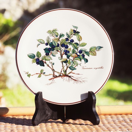 Dessous plat en vitro - dessous, de