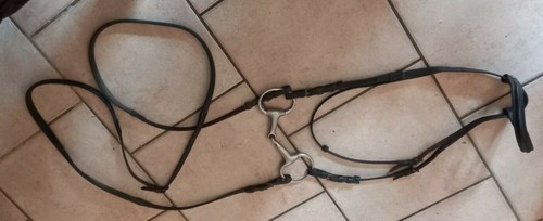 Ensemble bridon licol avec - ensemble,