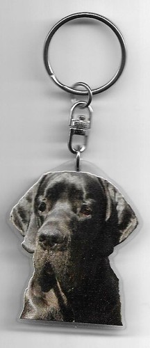 Dogue allemand porte - allemand,