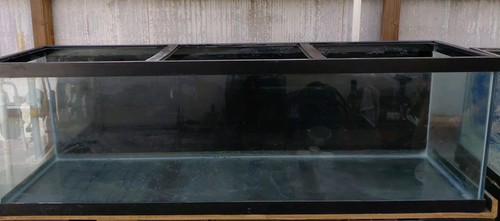 125 gallon aquarium filter - aquarium,