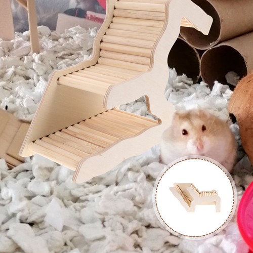 Hamster cachette cochon - hamster, de