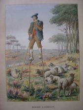 LANDES Berger Landescot Costume Echasses Moutons