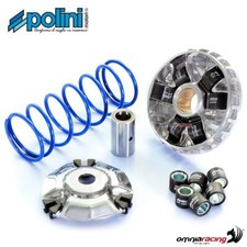 Variateur Polini hi-speed pour SYM GTS125i EVO