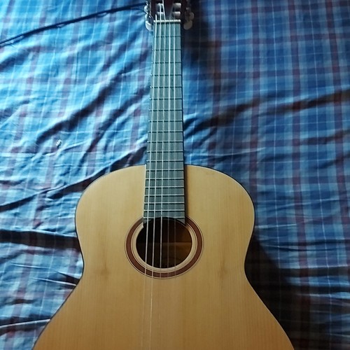 Silver 114 guitare - gn-114,
