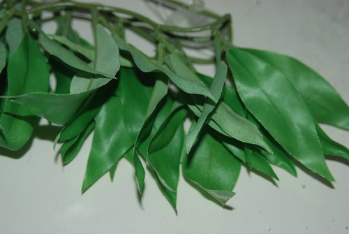 Terrarium vivarium petit perse - terrarium,