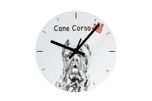 Cane corso montre avec - corso,