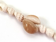 COLLIER DE COQUILLAGES
