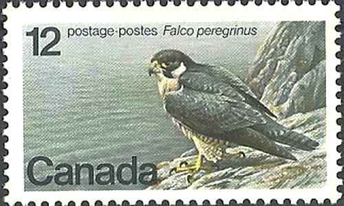 Timbre oiseaux rapaces - timbre,