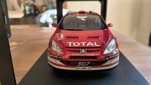 Peugeot 307 rallye monte - cc,