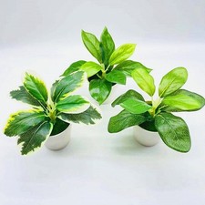 Plante verte artificielle fabriqu��e �� partir de mat��riaux de qualit�� solutio
